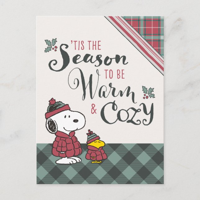 Peanuts | Tis the Season To Be Cozy Postcard (Front)