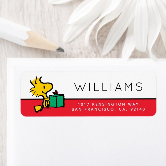 Peanuts | Woodstock Christmas Gift (Insitu)