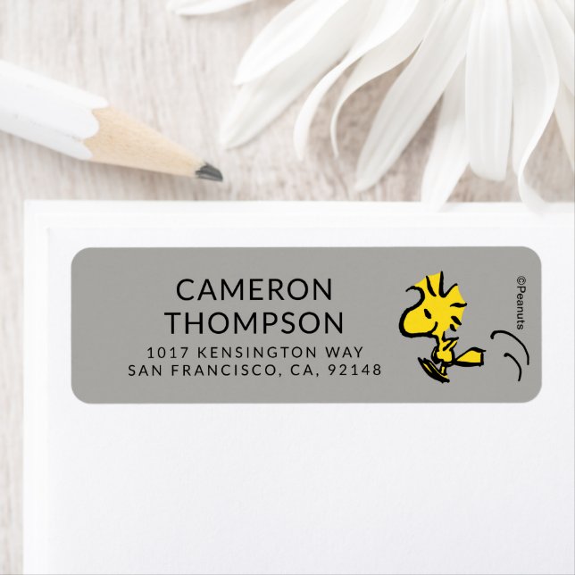 Peanuts | Woodstock Jumping (Insitu)