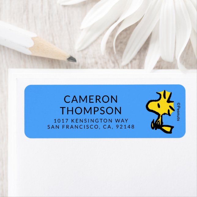 Peanuts | Woodstock Looking Ahead (Insitu)