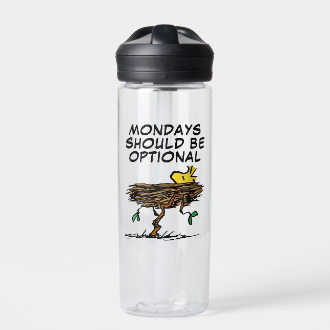 Peanuts | Woodstock Napping Water Bottle (Front)
