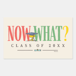 Peanuts Woodstock Now What Graduation Funny Quote Sticker