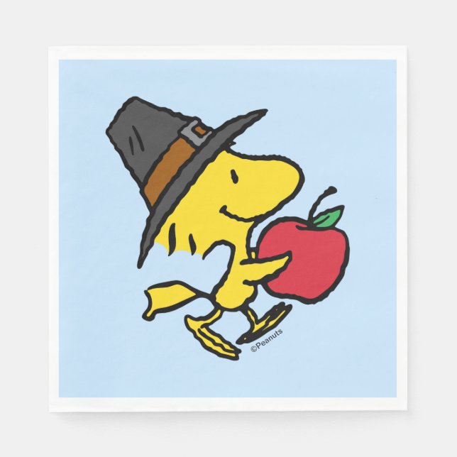 Peanuts | Woodstock Pilgrim Napkin (Front)