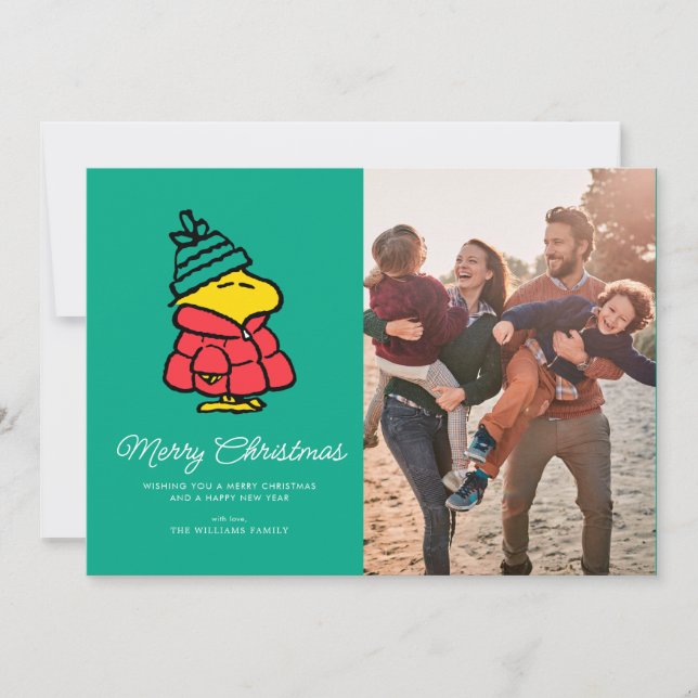Peanuts | Woodstock Winter Merry Christmas Holiday Card (Front)