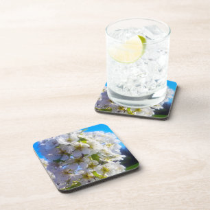 Pear Blossoms Coaster