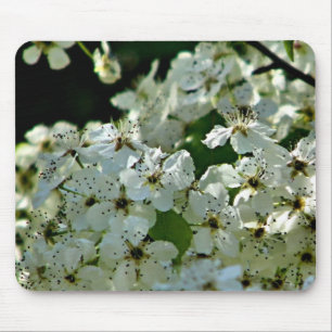 Pear Blossoms in bloom Mouse Pad