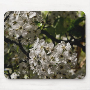 Pear blossoms mouse pad