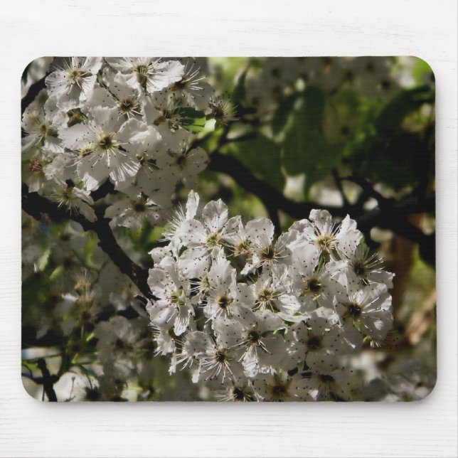 Pear blossoms mouse pad (Front)
