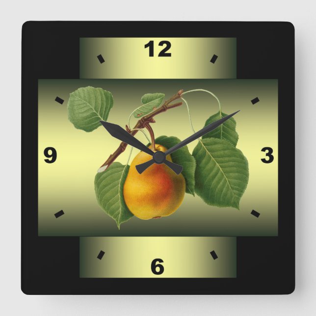 Pear ~ Botanical Fruit ~ Giorgio Gallesio  ~ * ~ Square Wall Clock (Front)