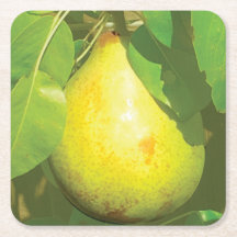 Pear Coaster