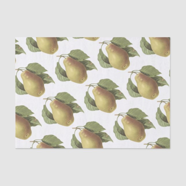 Pear Pattern Tissue Paper (Front)