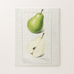 Pear (Pyrus Communis) Fruit Watercolor Painting Jigsaw Puzzle
