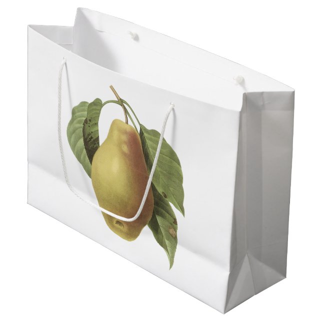 pear(Pyrus sp.) by Redouté Large Gift Bag (Front Angled)