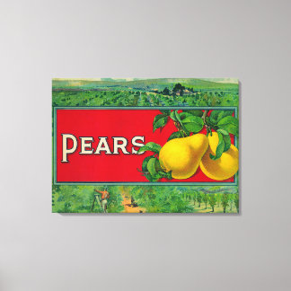 Pear Stock Crate Label Canvas Print