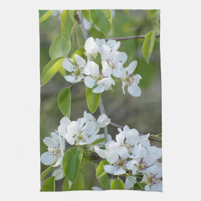 Pear tree blooming kitchen towel (Vertical)