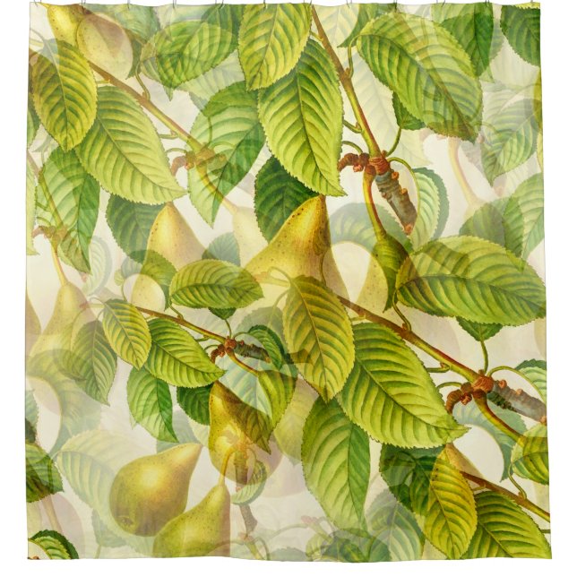 Pear Tree Branches & Pears Pattern  (Front)