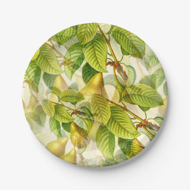 Pear Tree Branches & Pears Pattern  Paper Plate (Front)