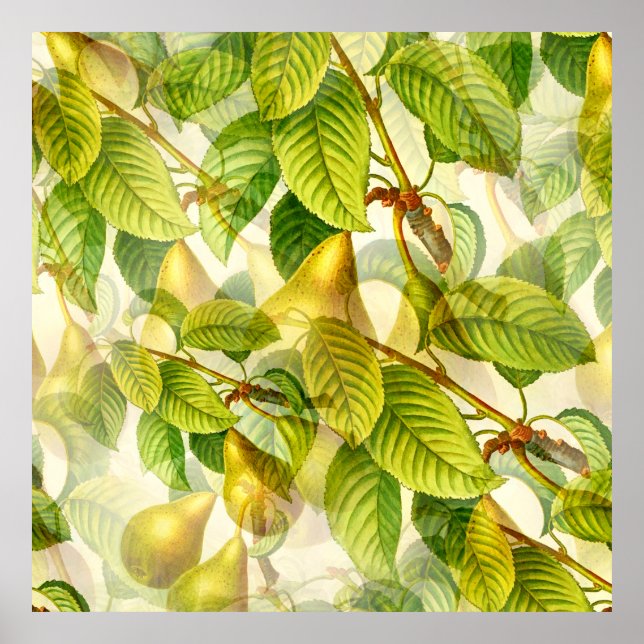 Pear Tree Branches & Pears Pattern  Poster (Front)