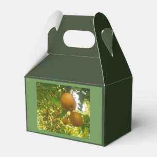 Pear Tree Harvest Favor Box