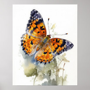 Pearl Crescent Butterfly Art Print Poster