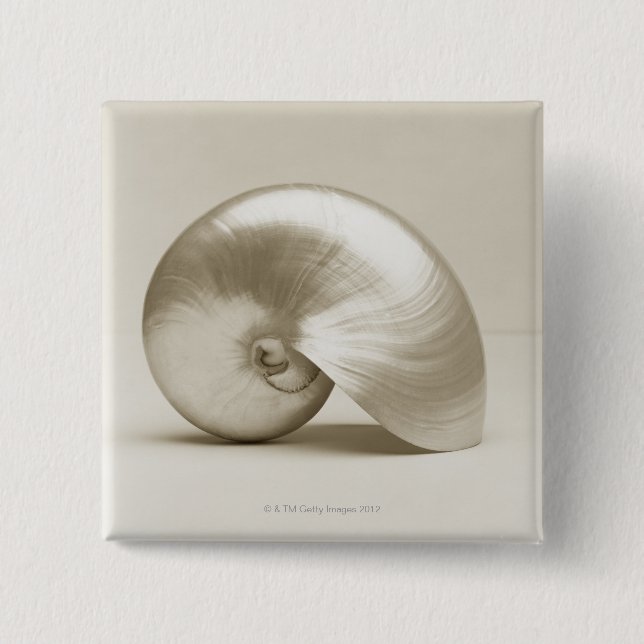 Pearl Nautilus Seashell 2 Inch Square Button (Front)