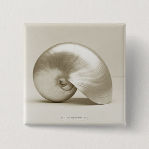Pearl Nautilus Seashell 2 Inch Square Button