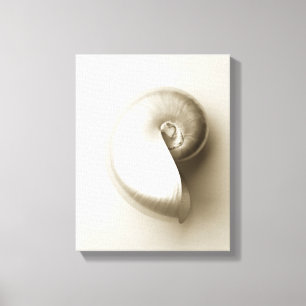 Pearl Nautilus Seashell Canvas Print