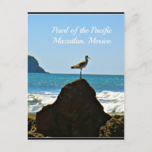 Pearl of the Pacific Mazatlan Mexico Bird Postcard