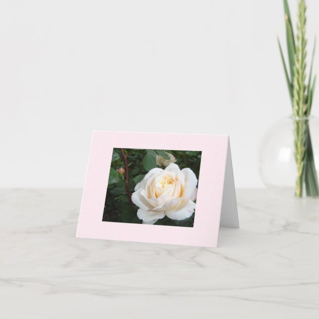 Pearl Rose blank notecard (Front)