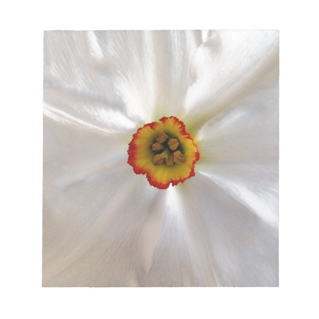pearl white narcissus notepad (Front)