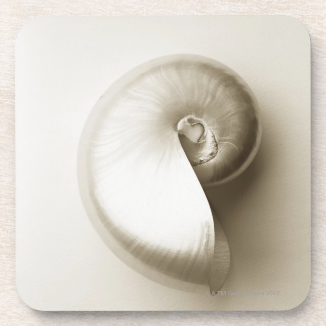 Pearlised nautilus sea shell 2 coaster (Front)