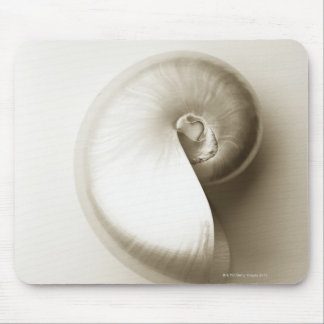Pearlised nautilus sea shell 2 mouse pad
