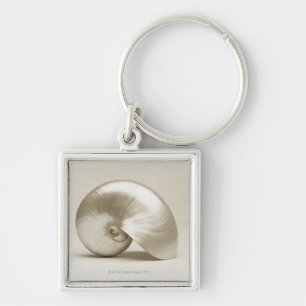 Pearlised nautilus sea shell keychain