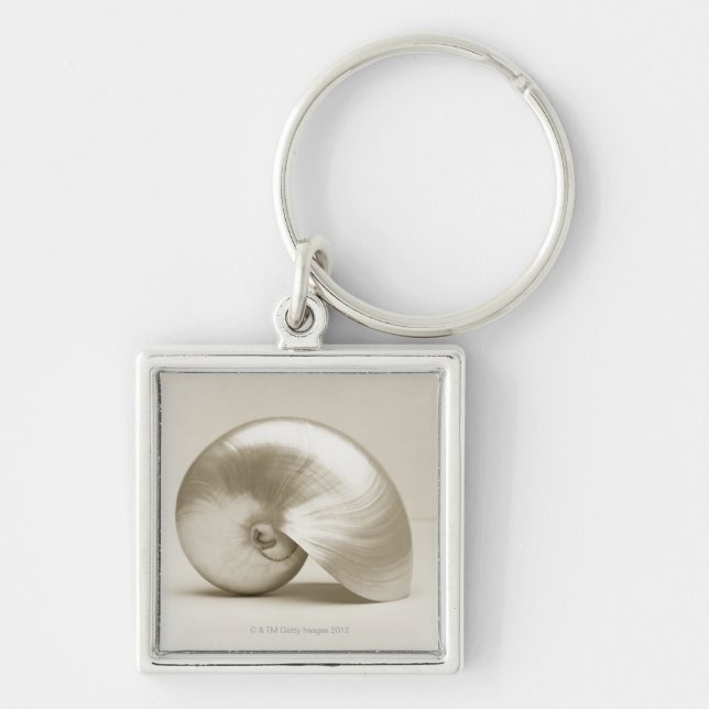 Pearlised nautilus sea shell keychain (Front)