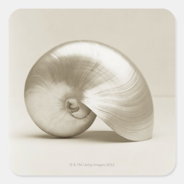 Pearlised nautilus sea shell square sticker (Front)