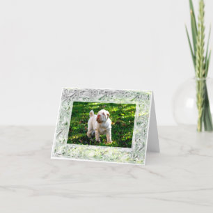 Pearly Gaits Note Card