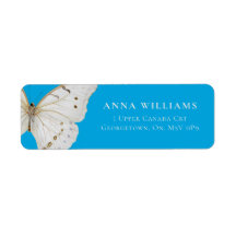 Pearly White Butterfly
