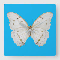 Pearly White Butterfly