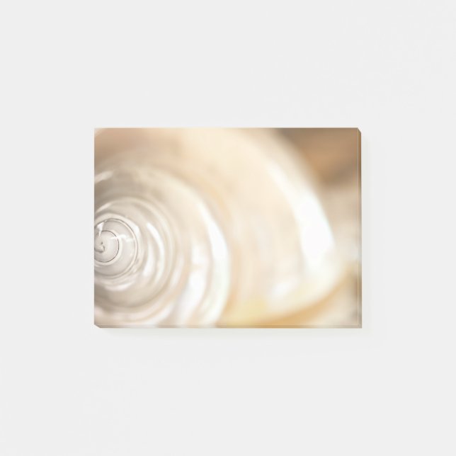 Pearly White Sea Shell Marine Nature Post-it Notes (Front)