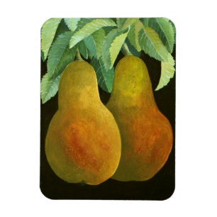 Pears 2014 2 magnet