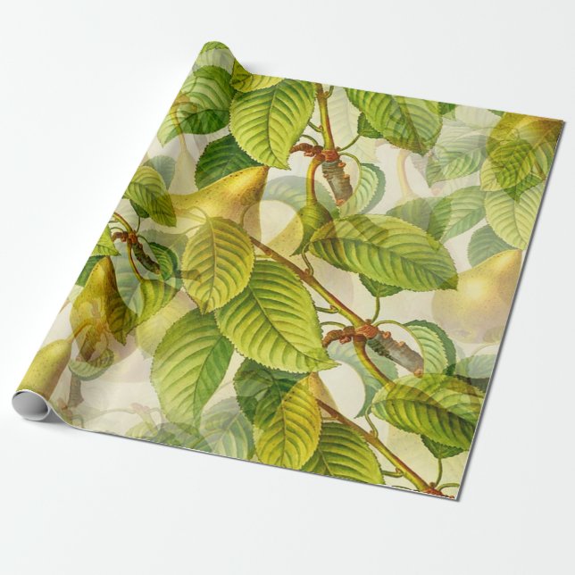 Pears and leaves pattern wrapping paper (Unrolled)