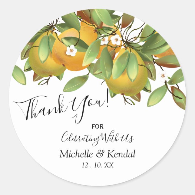 Pears Fruit | Thank You Classic Round Sticker (Front)