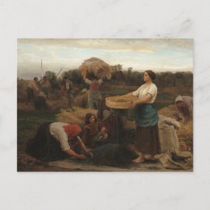 Peasant Women Harvesting  Rapeseed by Jules Breton Postcard