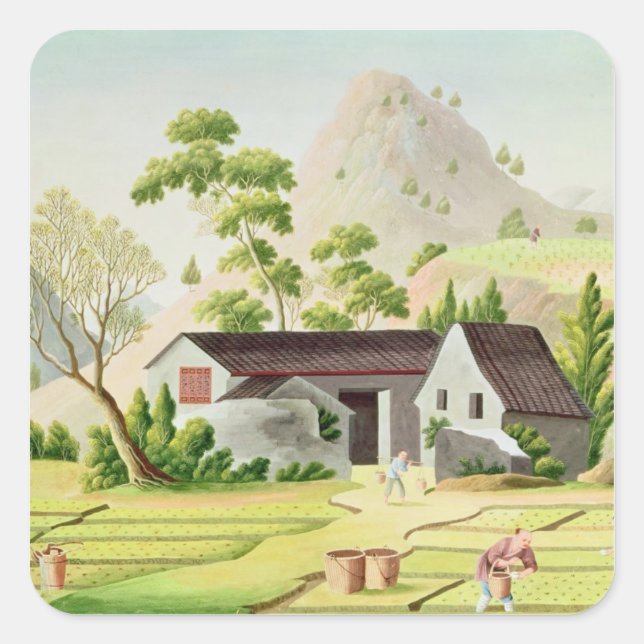 Peasants in the Paddy Fields Square Sticker (Front)