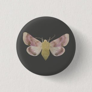 Pease blossom moth (periphanes delphinii) 1 inch round button
