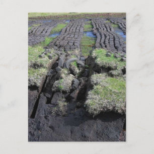 Peat Cutting In Ireland Postcard