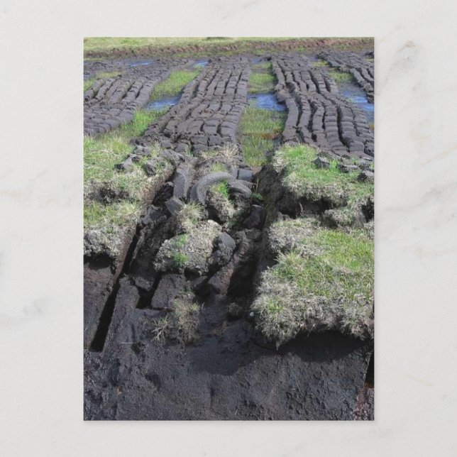 Peat Cutting In Ireland Postcard (Front)