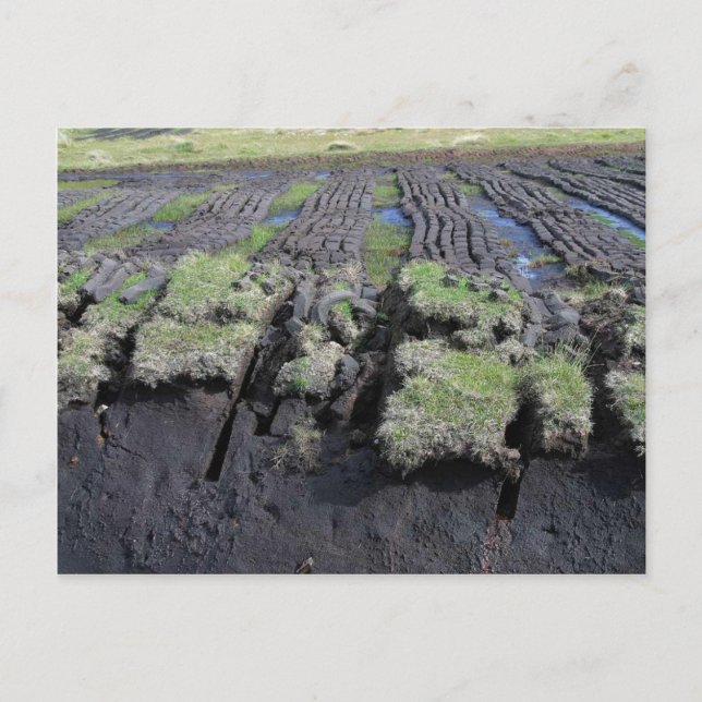 Peat Cutting In Ireland Postcard (Front)