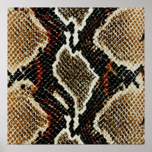 peau de serpent poster de animal noir brun
