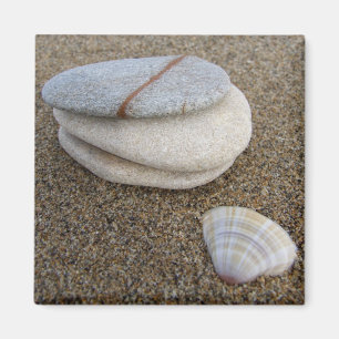Pebble Shell Magnet